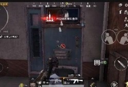 和平精英体验服最新爆料c44,和平精英体验服新爆料，全新内容抢先看！