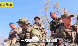 乌克兰士兵爆料视频最新,揭秘前线真实战况与生存挑战