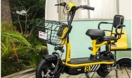 中关村电动车最新爆料