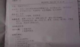 某火锅店爆料视频大全最新,揭秘行业幕后真相