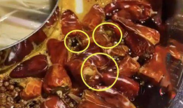 某火锅店爆料视频大全最新,揭秘行业幕后真相