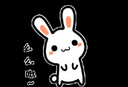 临颖新闻爆料网最新动态,揭秘临颖本土热点事件！