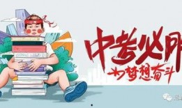陕西大枣爆料最新消息视频,揭秘产地品质与市场动态
